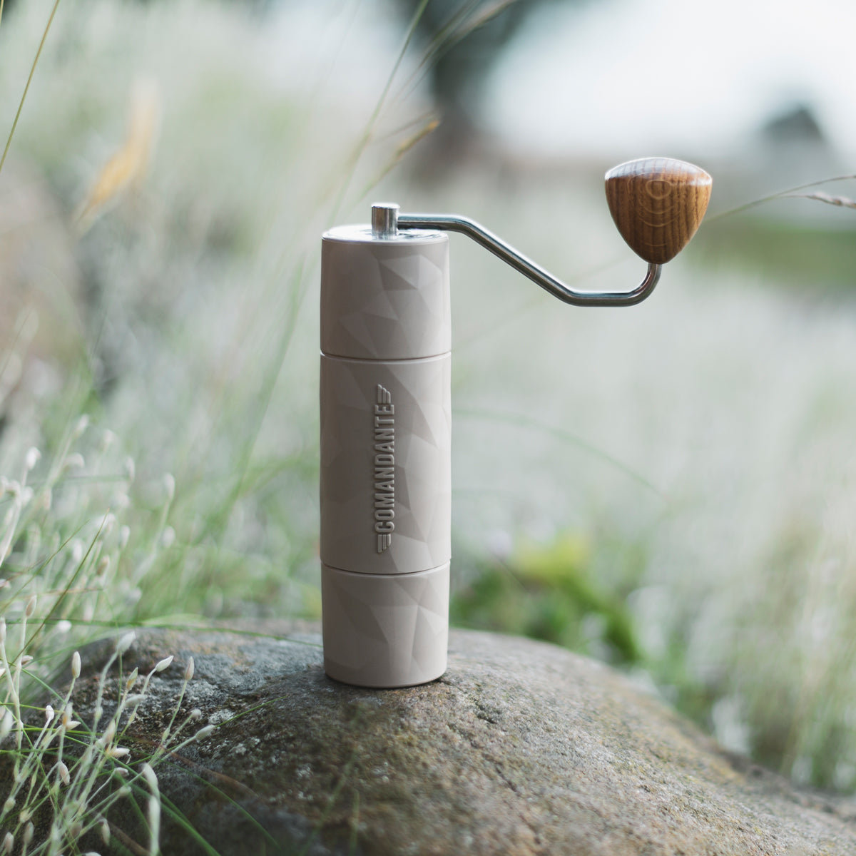 variant_474379982605464